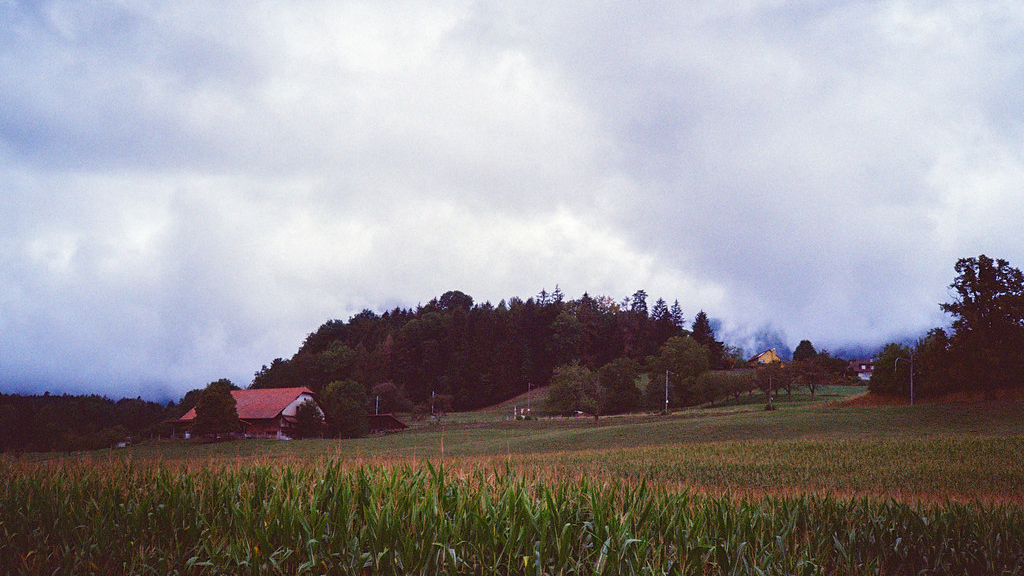 Panorama rural Cornfield 
